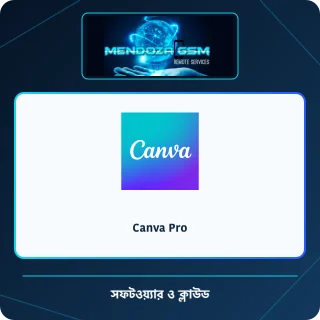Canva Pro